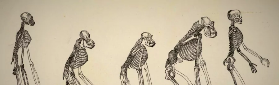 /20230624_rm_neverim/featured-image-preview.webp /20230624_rm_neverim/featured-image-preview.webp