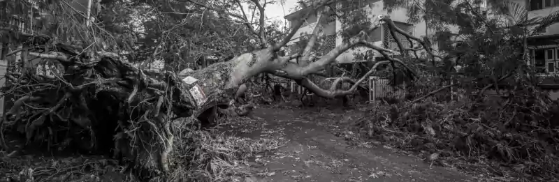 /20240302_lc_nezabydlujme_se_v_tradicionalismu/featured-image-preview.webp /20240302_lc_nezabydlujme_se_v_tradicionalismu/featured-image-preview.webp