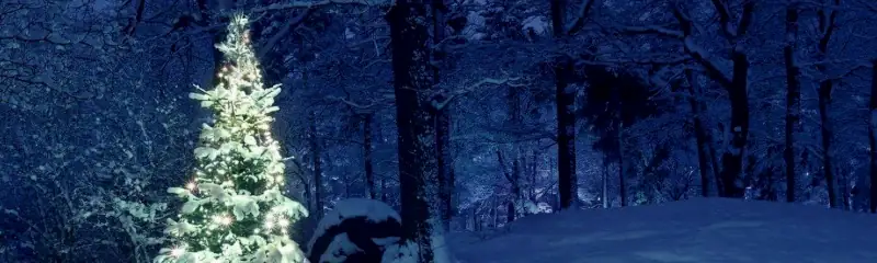 /20251222_ib_nos%C3%AD_darky_jezisek/featured-image-preview.webp /20251222_ib_nos%C3%AD_darky_jezisek/featured-image-preview.webp