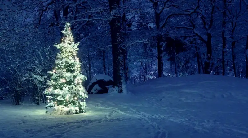 /20251222_ib_nos%C3%AD_darky_jezisek/featured-image.webp /20251222_ib_nos%C3%AD_darky_jezisek/featured-image.webp